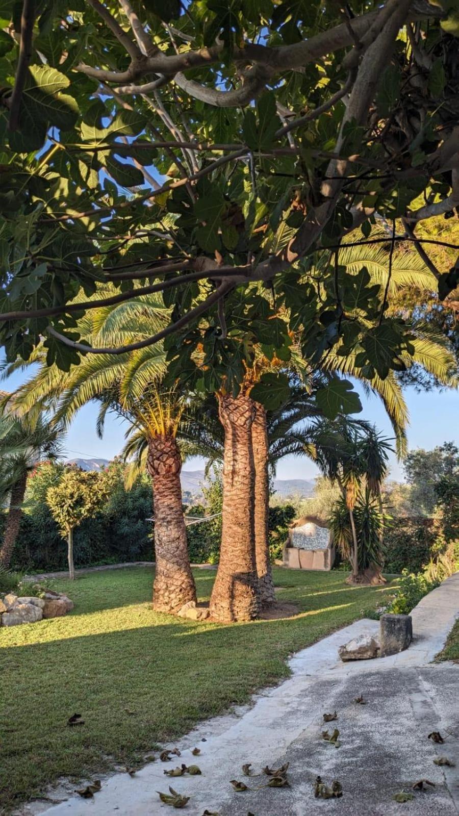 Ca Tosca Villa Jávea Buitenkant foto